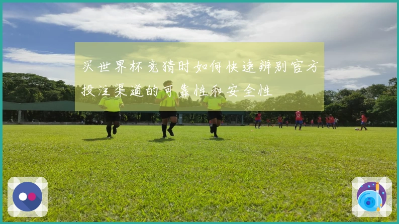 买世界杯竞猜时如何快速辨别官方投注渠道的可靠性和安全性