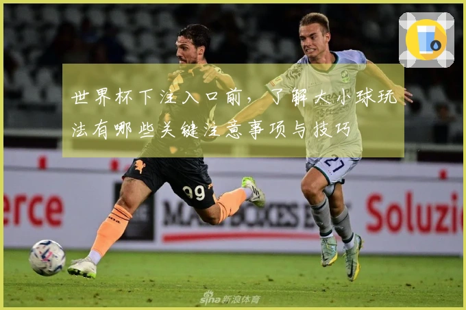 世界杯下注入口前，了解大小球玩法有哪些关键注意事项与技巧